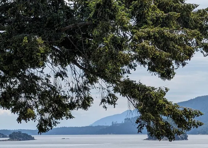 Mayne Island Resort